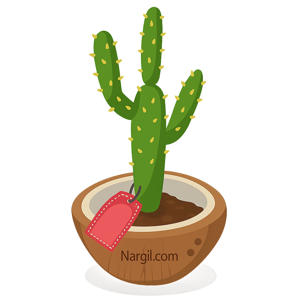  Nargil - Austrocylindropuntia